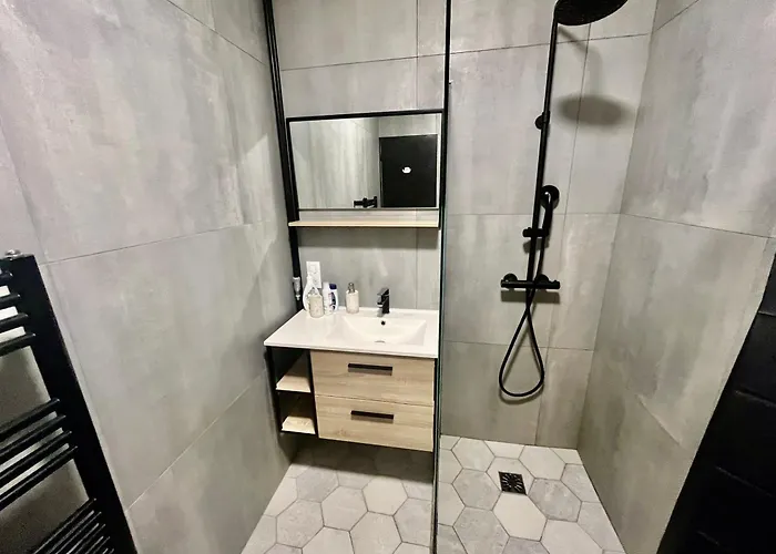 Le Borrigo Pick Up Airport マントン